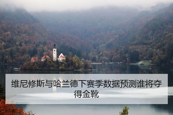 wei-ni-xiu-si-yu-ha-lan-de-xia-sai-ji-shu-ju-yu-ce-shui-jiang-duo-de-jin-xue-2-491.jpg