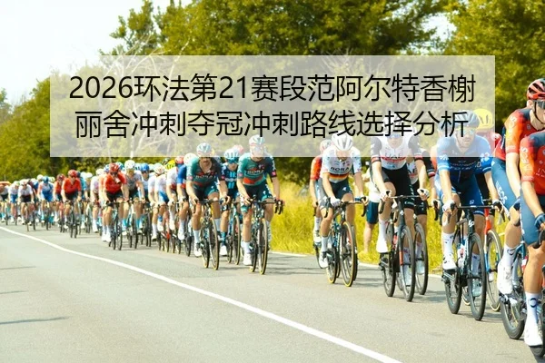 huan-fa-di-sai-duan-fan-a-er-te-xiang-xie-li-she-chong-ci-duo-guan-chong-ci-lu-xian-xuan-ze-fen-xi-3-366.jpg